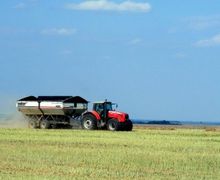 З українських полів зібрали 40 млн тонн зерна